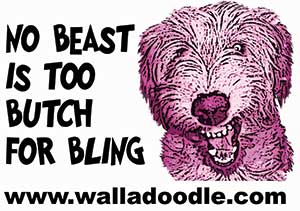 Walladoodle-Ad Walladoodle-Ad